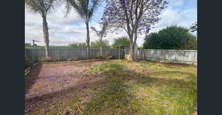 Step Inside to Style – A Hidden Gem Awaits! - Photo 3