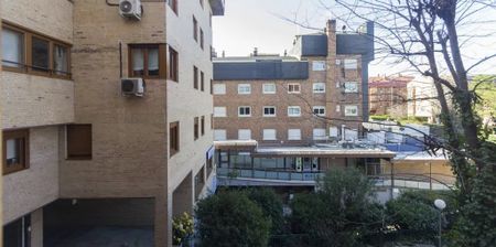 Calle José Silva, Madrid, Community of Madrid 28043 - Photo 4