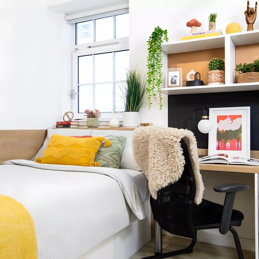 Small Standard Single Studio - Photo 1