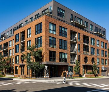 Wilcox Apartments for rent in Saint-Henri - Photo 2