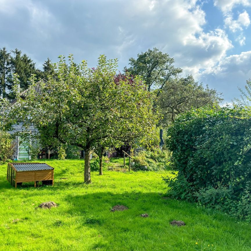 Rarität für echte Naturliebhaber: Einfamilienhaus mit schönem Gartengrundstück und Dachterrasse - Foto 1