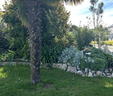 44 Martin Street, Monaco, Nelson - Photo 4