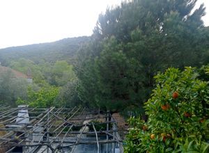 Μονοκατοικία για ενοικίαση - Ελευθερές, - Φωτογραφία 5