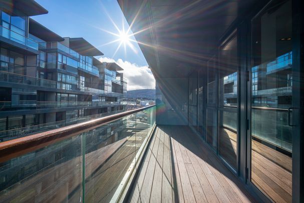 Cubes 2, Beacon South Quarter, Sandyford, Dublin 18, D18 KD56 - Photo 1