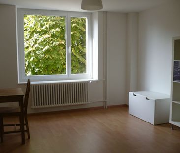 Birsstrasse 19, 4132 Muttenz - Photo 1