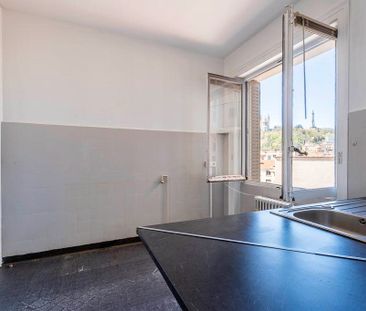 JACOBINS - 6 - Photo 2