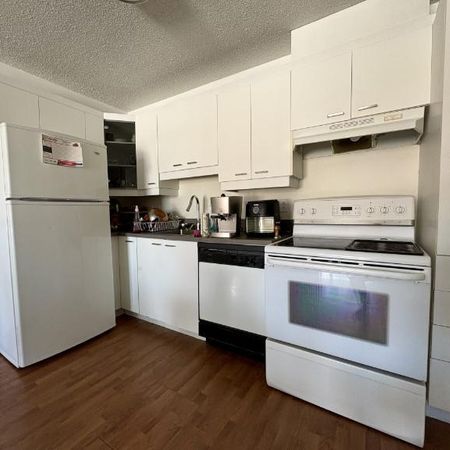 Appartement 4 ½ à louer Sainte-Foy / Sillery juillet 2026 - Photo 4