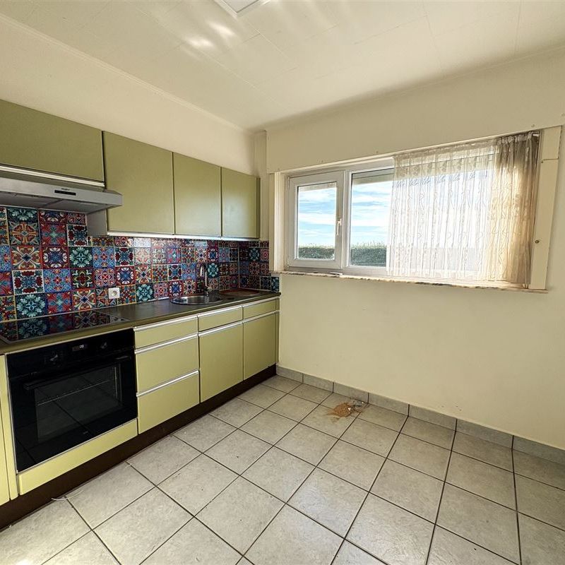 Huis te huur in Bellegem - Photo 1