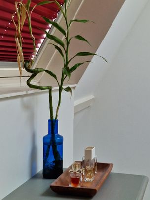 Groot Hertoginnelaan, 210, 2517EX, Den Haag - Photo 1