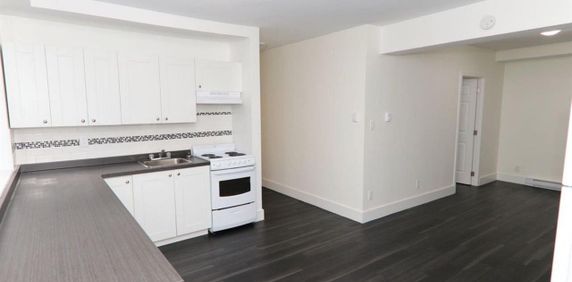 Montréal – Côte-des-Neiges – Place Lucy – Beautiful 1 bedroom apartments for Rent - Photo 2