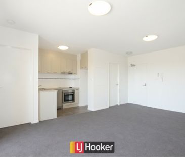 Gorgeous Bruce Light Filled Apartment! - Photo 3