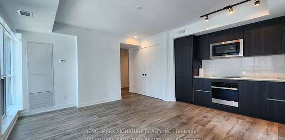 1 Bedroom, 1 Bathroom - Maverick Condos - Photo 2