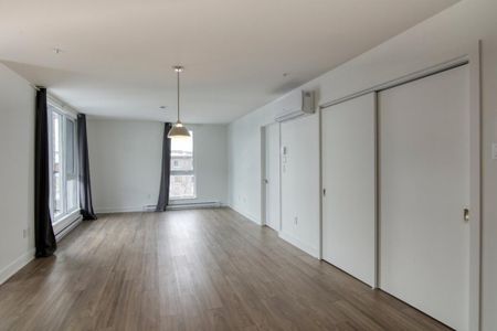 9675 Av. Papineau, app.203, H2B 3C8, H2B 3C8, Montréal - Photo 3