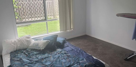 Pacific Pines - Photo 2