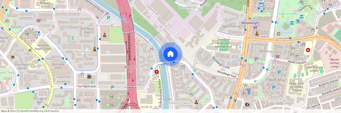 62 POTONG PASIR AVENUE 1, 358392, Singapore