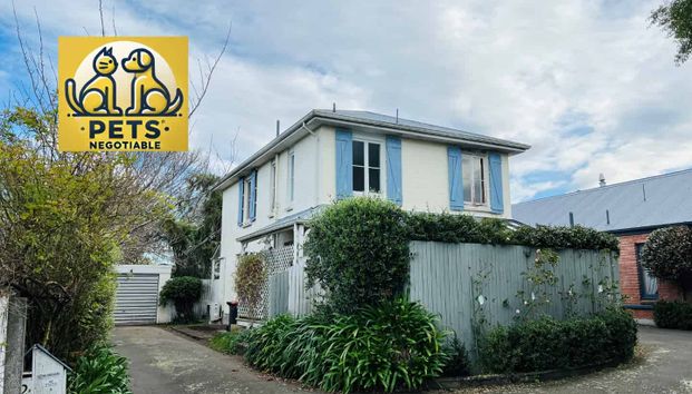 Character Plus in Bryndwr - Photo 1