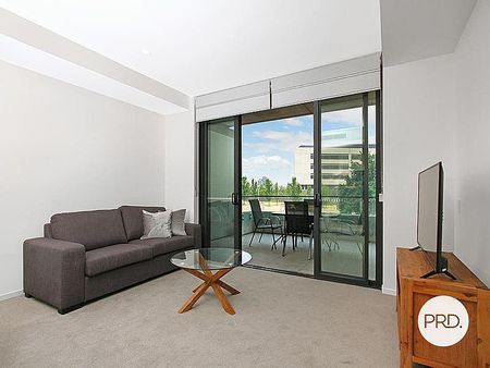 79/81 Constitution Avenue,CAMPBELL - Photo 3