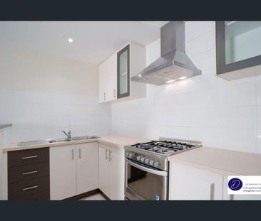 Cozy Midland Hideaway - Your Perfect Slice of Paradise! - Photo 5