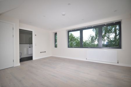 1 bedroom duplex flat to rent - Photo 3