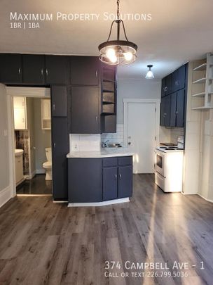 Gorgeous Newly Renovated Apartment ALL INCLUSIVE - Photo 1