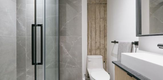 Loft entièrement meublé à louer Saint-Jean-Baptiste août 2026 - Photo 2