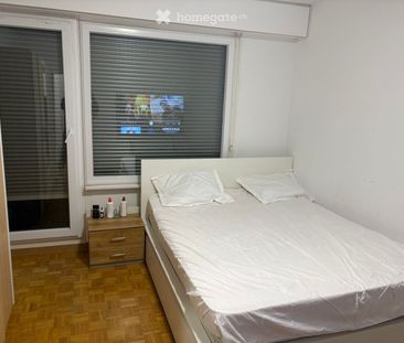 17 m² - Photo 2