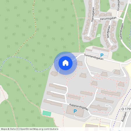 Hässleholmen, Borås, Västra Götaland, Tunnlandsgatan 13