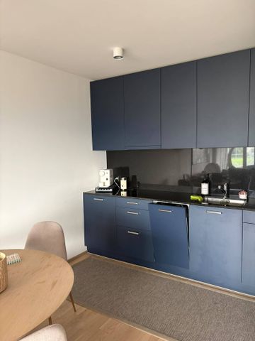 2½ ZI-WOHNUNG IN HORW (LU), MÖBLIERT, TEMPORÄR - Photo 4