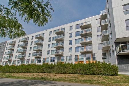 Appartement à Montréal (Mercier/Hochelaga-Maisonneuve) - Photo 3