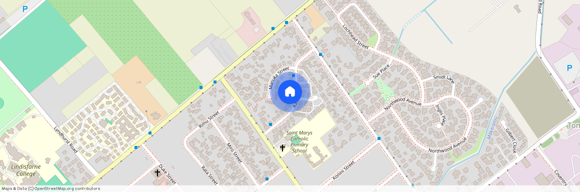 1016 Kauri Street, Mahora, Hastings