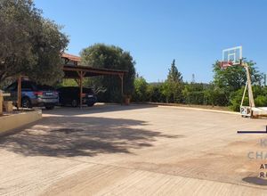 Βίλα για ενοικίαση - Κορωπί - Photo 5