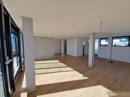LOFT Wohnung - Nähe U2 Station Donauspital - 72 m2- neu saniert - Terrasse südseitig - mit Fernblick - Foto 2