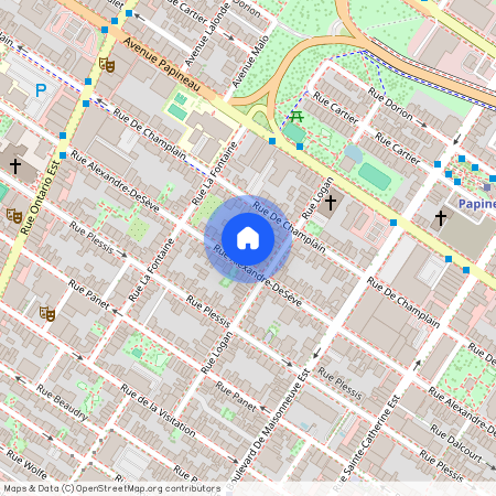 1679 Rue Alexandre-DeSève, Ville-Marie, Ville-Marie, Ile de Montréal, H2L 2X6