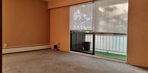 BC Rental Burnaby: 2BR 2bath apartment at Metrotown for rent rental - Photo 2