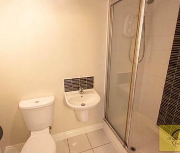 Apt 6, Lady Wallace Court, Lisburn, BT28 3GU - Photo 6