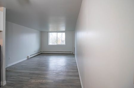 **All Inclusive** Charming 1-Bedroom Apartment in St. Catharines - Photo 2