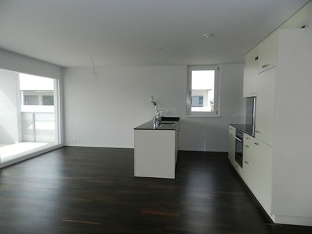Grosszügige und moderne Wohnung mit Sitzplatz in Villmergen - Photo 2