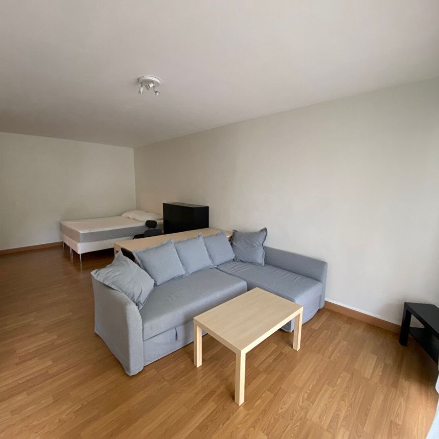 Location Appartement 1 pièce 48m² - Photo 1