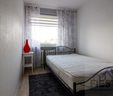 Zabrze Kotarbińskiego, ul. Franciszkańska - Photo 2