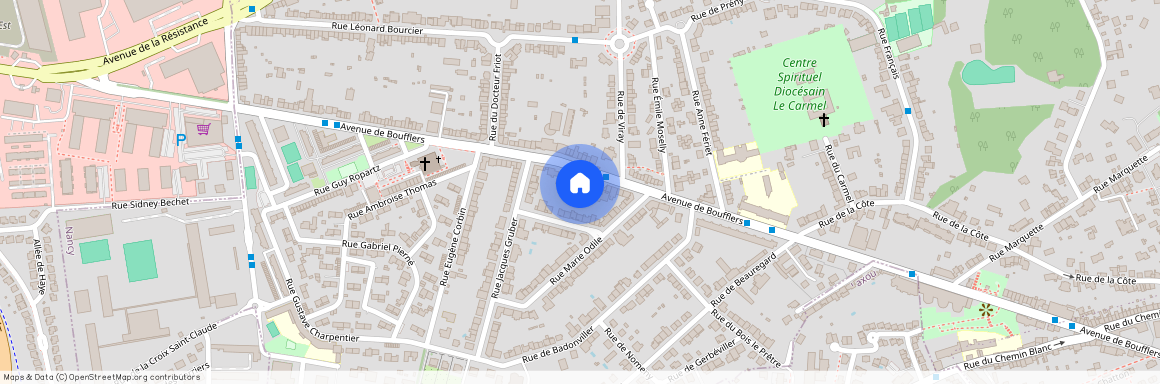 215 AVENUE DE BOUFFLERS, Boufflers Sud-Ouest Beauregard, Nancy