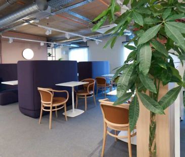 Classic Studio - Photo 4