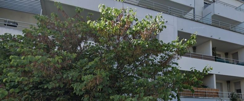 Appartement T3 en location à Toulouse - Photo 1