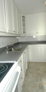 2 bedroom unit close to Cite Collegiale and Ogilvie/Bathgate - Photo 4