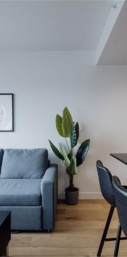 3 ½ entièrement meublé à louer Saint-Jean-Baptiste août 2026 - Photo 1