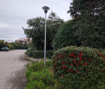 Location Appartement 1 pièce 30m² HYERES 83400 - Photo 4