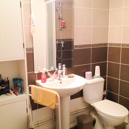 Location Appartement 1 pièce 21m² - Photo 4