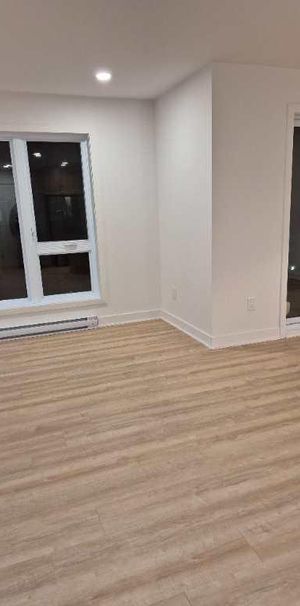 4 1/2 LIBRE IMMÉDIATEMENT / ANIMAUX ACCEPTÉS - Photo 1