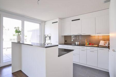 Schöne Attikawohnung mit zwei Terrassen - Photo 4