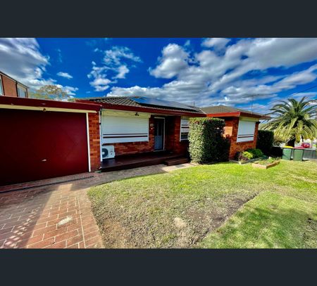 38 Pioneer Street, Seven Hills, NSW 2147 - Photo 5