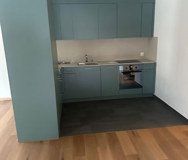 3 Zimmer, 78 m², EG - Foto 4